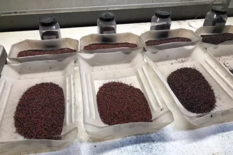 Controlling of granule drops behind the coater