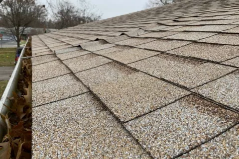 Buckled roof shingles